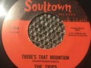 THE TRIPS 45 there’s that mountain on soultown records,serial number S-716