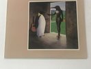 Penguin Cafe Orchestra - Self-Titled - Used LP - 1981 US Editions EG - NM Vinyl