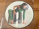 KATE BUSH -The Kick Inside- Rare 2nd Pressing UK Picture Disc LP (Vinyl) EX COND