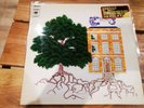 Disque vinyle 33 tours du Groupe Trees : The Garden Of Jane Delawney OG de 1970.