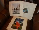 Pink Floyd, Wish You Were Here, Psychedelic German Harvest 1C 026-96 918  LP 75