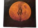 Harvest Moon By Neil Young In Good Condition 7inch Single, See Photos. Rare