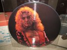 LED ZEPPELIN Vinyl Lp Picture Disc CENTRAL PARK 1969 Only 2000 Made RARE
