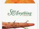 Say Anything Is A Real Boy Exclusive 2LP Marble Vinyl Newbury Comics 500 Limited