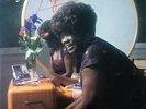 Koko Taylor - From The Heart Of A Woman - Alligator Records - AL 4724 - LP, Albu