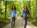 Alvin Lee & Mylon LeFevre - On The Road To Freedom - Columbia - KC 32729 - LP, A
