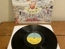 Green Day - Dookie Vinyl LP 2009 Reissued & In Mint Condition.