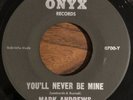 MARK ANDREWS You'll Never Be Mine / The Whipporwill Rare R&B Teen Onyx Record 45