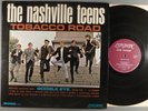 The Nashville Teens  Tobacco Road   Mono  Garage; Beat; R&B