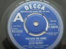 Dave Berry:Picture me gone/Ann:  RARE Promo Copy UK Decca:1966