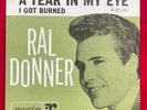 Ral Donner - I Got Burned - Reprise Records R-20,141 - Picture Sleeve - 45rpm