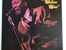 MUDDY WATERS 