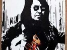 Link Wray - Stuck In Gear (Vinyl)