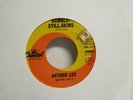 Arthur Lee Rumble-Still-Skins / The Ninth Wave Garage Rock-7