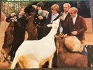 Beach Boys - Pet Sounds Mono / Stereo 2 x Yellow / Green Vinyl LP -  NM