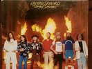 LYNYRD SKYNYRD STREET SURVIVORS VINYL LP 1st PRESS 1977 MCA -3029 FLAMES INSERTS