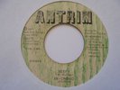 IN CROWD BAND Mango Walk ANTRIM Killer  Mandrill Cover + Funk Reggae 7
