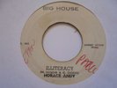 HORACE ANDY Illiteracy BIG HOUSE Killer  Deep Roots Reggae 7