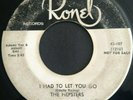 Rare 1955 Chicago RONEL 107 Doo Wop DJ Promo 45 THE HEPSTERS I Had To let You Go