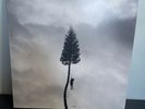 Manchester Orchestra - A Black Mile To The Surface Double Vinyl LP Album RARE