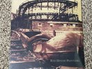 Red House Painters-Rollercoaster 2LP Vinyl