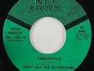 Walt & The Silvertones 