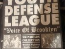 YDL YOUTH DEFENSE LEAGUE Voice of Brooklyn Ltd Ed of 300 made vinyl OI