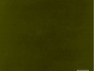 KENDRICK LAMAR - Untitled Unmastered  2016 Top Dawg Entertainment LP SEALED