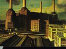 PINK FLOYD - ANIMALS (7C06498434) BEAUTIFUL ORIGINAL 1977 SWEDISH PRESSING LP