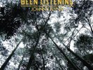 Johnny Flynn Been Listening (Vinyl) 12