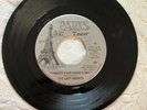 THE LAST KNIGHTS, rock  GARAGE   60'S FLORIDA / PARIS TOWER label