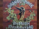 ORANGE JUICE Ostrich Churchyard POSTCARD LTD ED 1000 ONLY VINYL LP & 10” EX