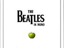 The Beatles In Mono Limited Edition 180g 14LP Box Set mint