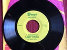 BRUCE SPRINGSTEEN 45 - RENDEZVOUS /SANTA B/W FEVER, BRUCE RECORDS  Super Rare