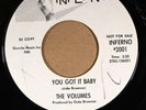 The Volumes INFERNO 2001 M- WHITE LABEL PROMO 