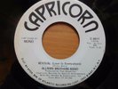 ALLMAN BROTHERS BAND  - Revival - 45 CAPRICORN White Label Promo Stereo/Mono NM