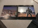 Pink Floyd Delicate Sound of Thunder &  A Momentary Lapse of Reason 2 lp lot