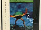 VANGELIS / SOIL FESTIVITIES JAPAN ISSUE LP W/OBI, INSERT