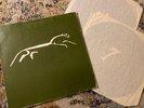 XTC
