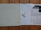 The Sting Rays Cryptic & Coffee Time LP Test press promo Garage Psychobilly