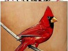 Alexisonfire Old Crows Young Cardinals Clear Vinyl Red Black Splatter 2LP 1/500