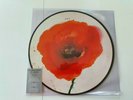 ALAIN BASHUNG EN AMONT EDITION FNAC PICTURE DISC 2 LP #CKDB