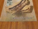 The Flying Burrito Bros.Burrito Deluxe.AMLS 983.EX/EX