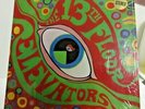 The Psychedelic Sounds Of The 13th Floor Elevators Shrink Psych Rock Stereo LP