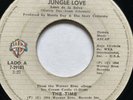 Guatemala THE TIME Jungle Love 45 Oh Baby Central America 7