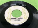 lee perry & the upsetters bucky skank justice league