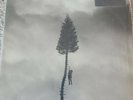A Black Mile To The Surface [2 LP] [Vinyl] Manchester Orchestra ||