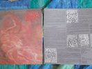 MORBID ANGEL BLESSED ARE THE SICK LP  33 GIRI  12 