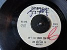 Link Wray and Wraymen Ain't That Lovin' You Babe / Mary Ann PROMO VG