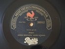 Green Brothers Novelty Band Arabia 78RPM Vertical Cut Pathé 20512
